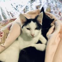 Photo of Jake & Jasper 💙