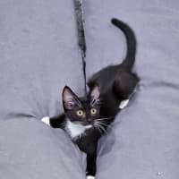 Photo of Stormie