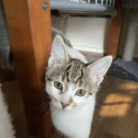 Photo of Edwina