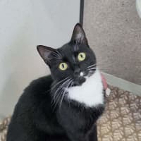 Photo of Daisy