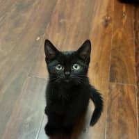 Photo of Sprout
