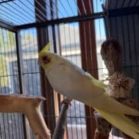 Photo of Spunky Punky