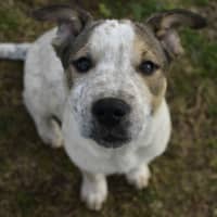 Photo of Betty