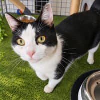 Photo of Sugar