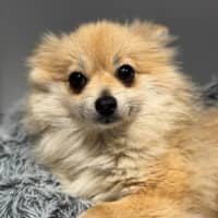 Photo of Betty