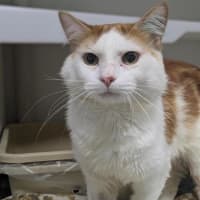 Photo of 🧡 Esteban 6966 🧡