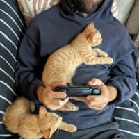 Photo of Fred & George (Aka Quentin & Quigley)