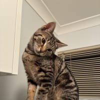 Photo of Zeke