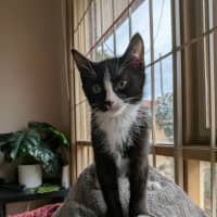 Photo of Nigel