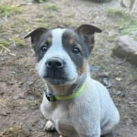 Photo of Salsa