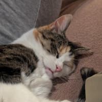 Photo of Amy