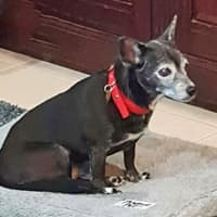 Photo of Minnie