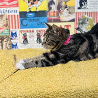 Photo of Taylor   Located In Preston