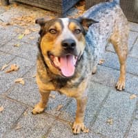 Photo of Richie Rich