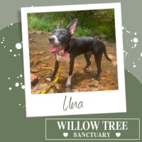 Photo of Una