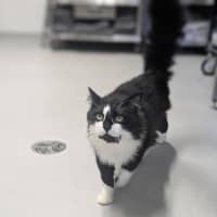 Photo of 🥨 Hamish 7370 🥨