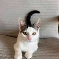 Photo of Lara 