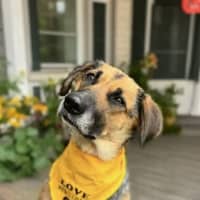 Photo of Rosey