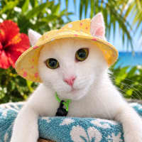 Photo of Indi