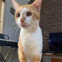 Photo of Ziggy