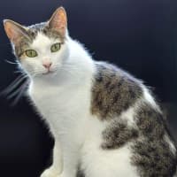 Photo of Sammi