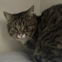 Photo of Alvin