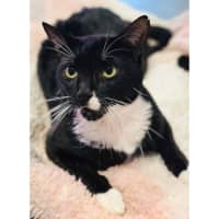 Photo of 12355   Snoop