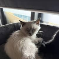 Photo of Elio