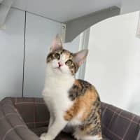 Photo of Gabby