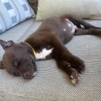 Photo of Lenny