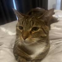Photo of Ares