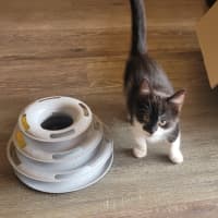 Photo of 💕 Atlas 💕