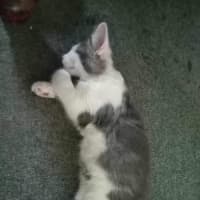 Photo of Maisy