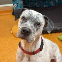 Photo of Ghost
