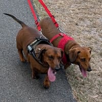 Photo of Harry / Sally