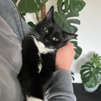 Photo of Albert