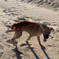 Photo of Apollo