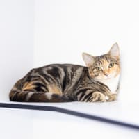 Photo of Sprout
