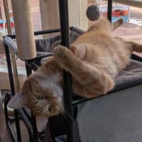 Photo of Jasper