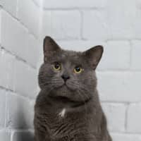 Photo of Jj