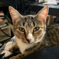 Photo of Quinn