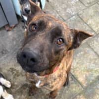 Photo of Cocobella