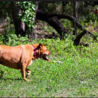 Photo of Freyha