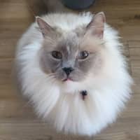 Photo of Yuki