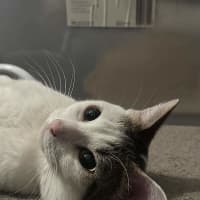 Photo of Smoosh