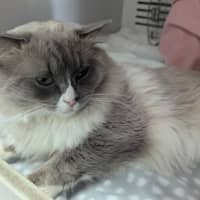 Photo of Leo