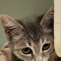 Photo of Felicity