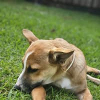 Photo of Wilfred