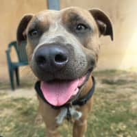 Photo of Turbo