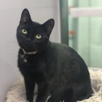 Photo of Betty